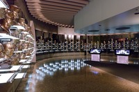 Nfl-pro-football-hall-of-fame-early-hof-admission-bust-gallery