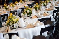 Nfl-pro-football-hall-of-fame-vip-friday-night-reception-diamond